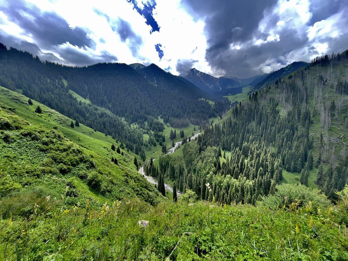 Каргалинка